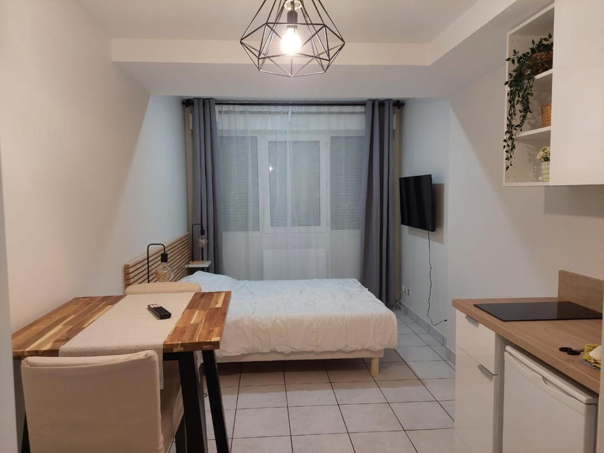 Apt Lyon Flachet Villeurbanne Esterno foto